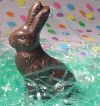 chocolate bunny