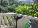 20080722_-sd2008-_2418