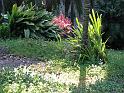 20080724_-sd2008-_2580