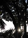 20080724_-sd2008-_2588