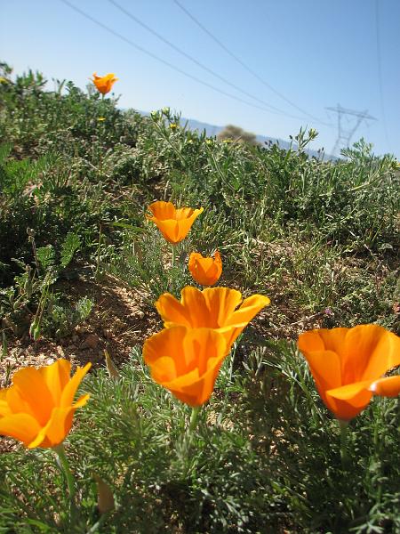 20080323_easter2008_1623.JPG